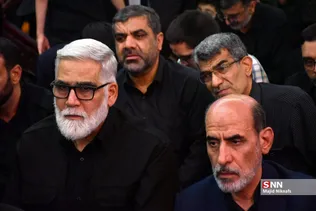 دبب