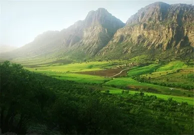 سفیدکوه لرستان؛ گنجینه‌ای از گونه‌های کمیاب