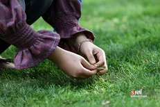 چگونه در سیزده بدر از محیط زیست محافظت کنیم؟