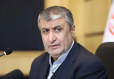 اسلامی: بی‌عملی آژانس متجاوزان را جسورتر کرده است