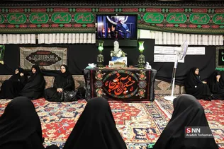 دبب