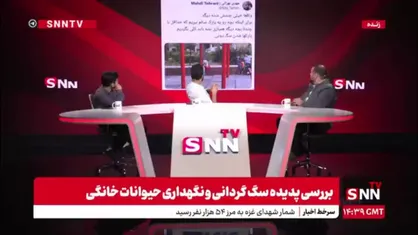 وقتی حیوانات خانگی جای کودکان را در پارک ها می&zwnj;گیرند