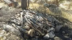 کشف بیش از ۳ تن چوب، هیزم و زغال قاچاق در کهگیلویه و بویراحمد