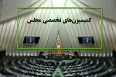 کمیسیون‌های تخصصی مجلس این هفته تشکیل جلسه می‌دهند / بذرپاش به نمایندگان گزارش می‌دهد