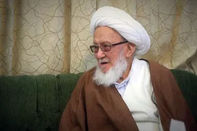 سهم به‌یادماندنی آیت‌الله العظمی فیاض در احیای پیاده‌روی اربعین