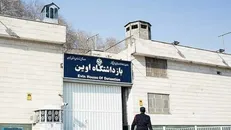 از غروب انسانیت تا نبود تمشیت