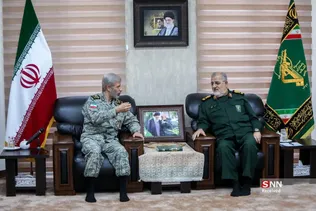 دبب