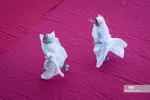 جشن روزه اولی ها در شیراز