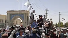 واکنش امارات به تسلط طالبان بر افغانستان