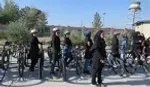 بیلر