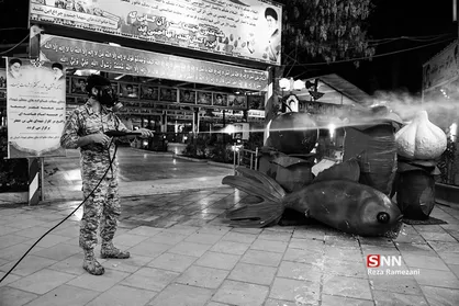 بی رنگ و بی ریا در مسیر جهاد