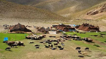 مکان&zwnj;محور شدن اطلاعات عشایر در ۱۵ استان اجرایی شد