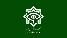 کشف ۲۷۳ قبضه سلاح جنگی تروریست‌ها از یک کامیون