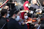 افتتاح پیاده راه استاد شهریار