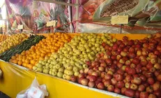 تحویل رایگان میوه درب منازل توسط ۸۰ درصد واحدهای خرده فروشی