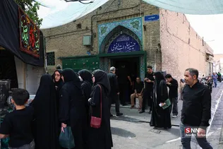 دبب