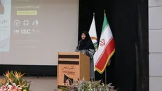 انصاری: هیچ طرحی نباید بدون ارزیابی محیط زیستی اجرا شود