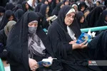 دبب