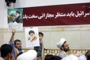 دبب