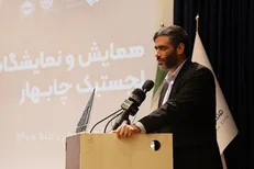 مناطق آزاد مرکز واردات و قاچاق نیستند/ لزوم تغییر نگاه‌ها