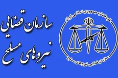 امکان مطالعه پرونده حادثه «هواپیمای اوکراینی» فراهم شد
