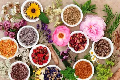 طرح&zwnj;های کارآفرینانه گیاهان دارویی درجهت بومی&zwnj;سازی محصولات حمایت می&zwnj;شوند
