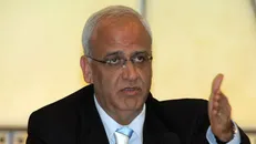 عریقات: کسی که به دنبال صلح است باید اشغالگری را پایان دهد