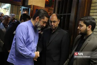 سید محمود رضوی
