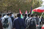 دانشگاه علامه