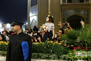 دبب