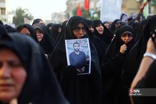 دبب