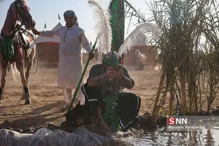 نوش اباد