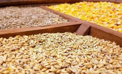 تایید حداکثر ۵ روزه مدارک واردات نهاده های دامی