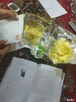 گروهی درس می خونیم