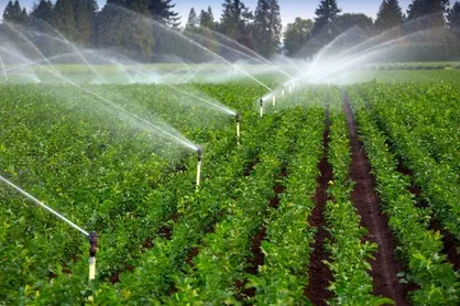 با سیاست&zwnj;های قهری نمی&zwnj;توان محصول تولیدی کشاورزان را کنترل کرد / تخلف جهاد کشاورزی از قانون