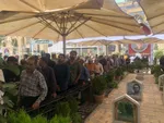 انتخاب