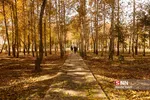 پاییز
