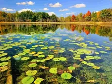 آبگیری تالاب‌های گلستان، ارمغان پاییزی آسمان/ افزایش پهنای آبی در دیار سبز هیرکان

 