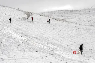 تفریحات زمستانی