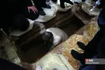  تشییع آیت‌الله علوی گرگانی در قم