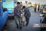 بازار دام