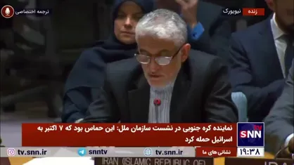 ایروانی: شورای امنیت به خاطر حق وتو ایالات متحده بی عمل مانده است