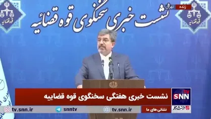 ستایشی: تبرئه نیلوفر حامدی و الهه محمدی از اتهام همکاری با دولت متخاصم را تکذیب می&zwnj;کنیم