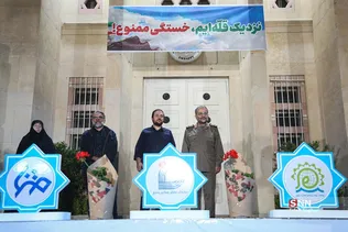 دبب