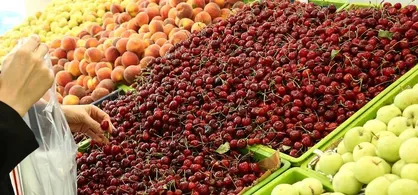 قیمت انواع میوه در میادین و بازار&zwnj;های میوه و تره بار اعلام شد