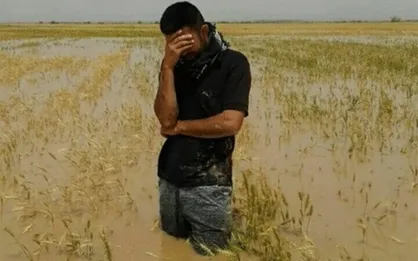 آخرین وضعیت پرداخت غرامت سیل به بخش کشاورزی