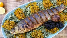 سرانه مصرف ماهی در کشور ۱۳ کیلو گرم است