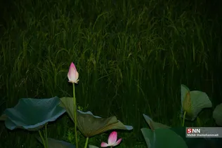 657546456456