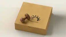 ۳۲ محصول نانو در حوزه آموزش و سرگرمی گواهی‌نانومقیاس گرفته‌اند