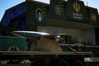 دبب